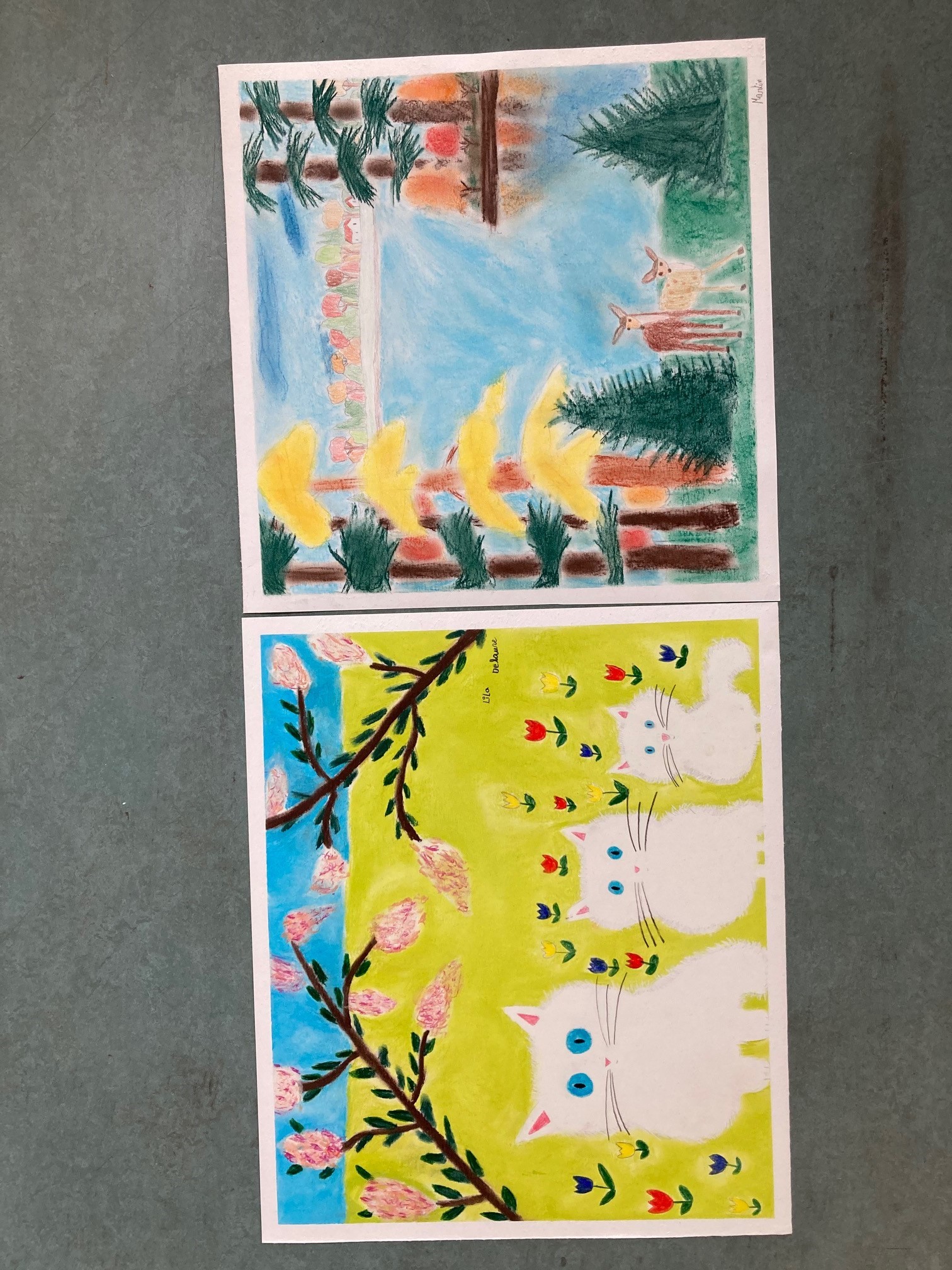 Image de diapositive